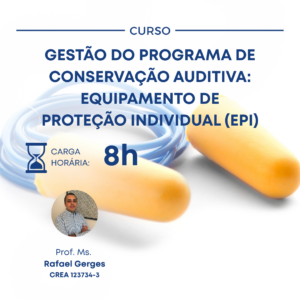GESTÃO DO PROGRAMA DE CONSERVAÇÃO AUDITIVA: EQUIPAMENTO DE PROTEÇÃO INDIVIDUAL (EPI)
